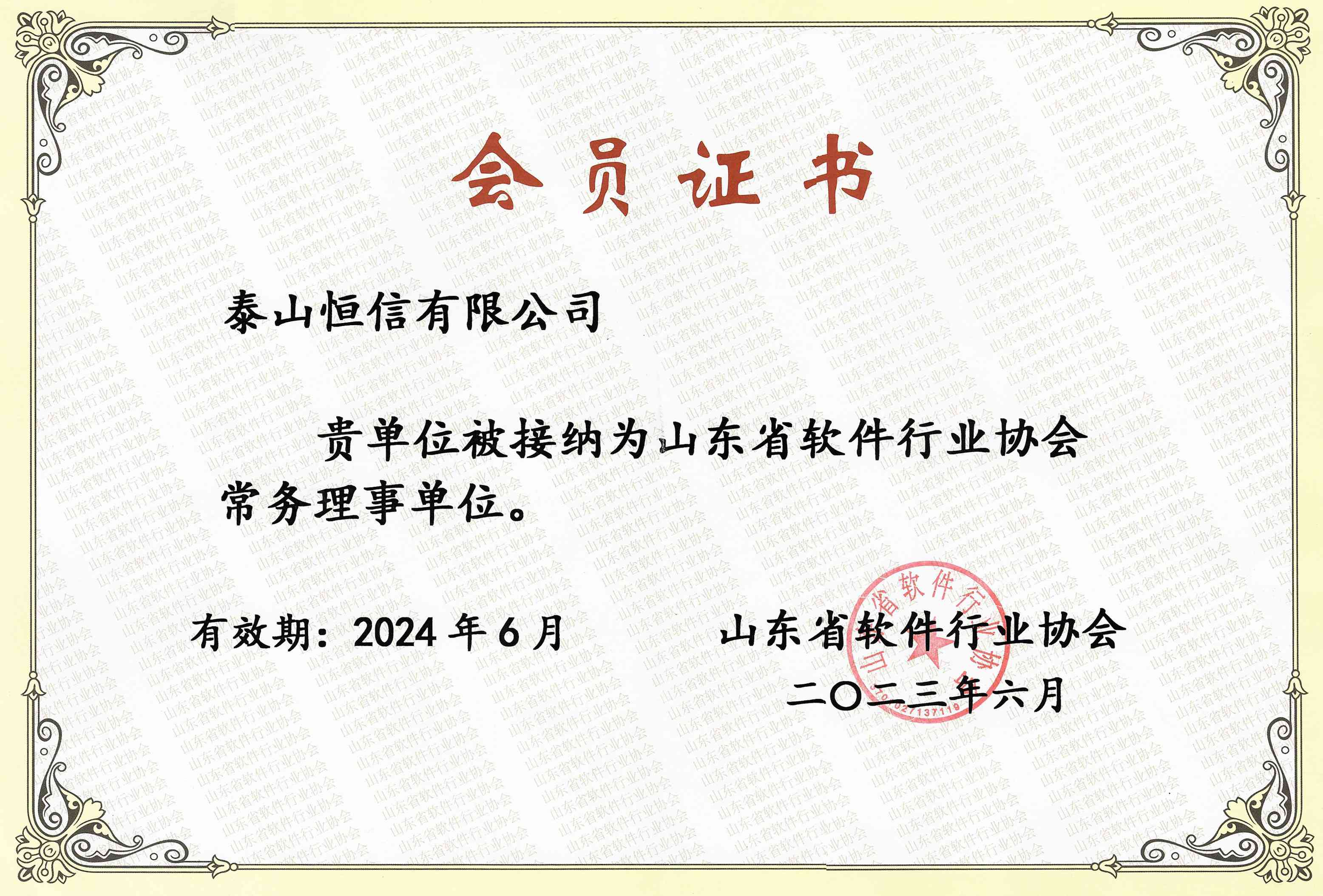 山东省软件行业协会常务理事单位(图1)